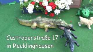 Hund frisst Krokodil Dog eats crocodile [upl. by Noteek]