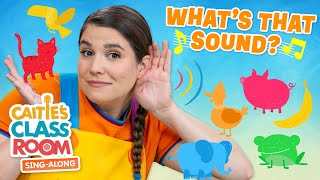 Whats That Sound  Caities Classroom SingAlong Show  Fun Listening Songs For Kids [upl. by Hallagan]