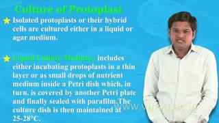 Protoplast Isolation amp Culture [upl. by Raimund]