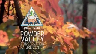 Powder Valley Conservation Nature Center  St Louis 30 [upl. by Hueston]