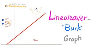 LineweaverBurk plot Enzyme Kinetics  Vmax Km amp S  Biochemistry 🧪 [upl. by Niala]