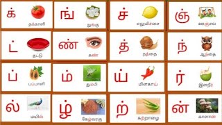 மெய் எழுத்துக்கள்Mei Eluthukkal Tamil Letters tamil ezhuthukal wizkids [upl. by Sausa]