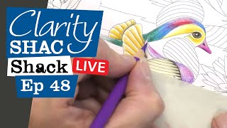 🔴 Clarity LIVE from the SHAC Shack  Episode 48  Mandarin Ducks Day 2 [upl. by Azalea690]