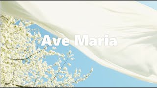 AVE MARIA  Gen Verde Cover [upl. by Elletnuahs]