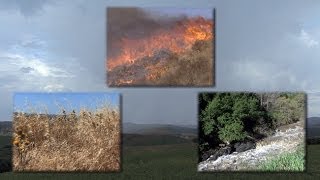 MediterraneanClimate Ecosystems Drought Fire and Flood [upl. by Nalyk950]