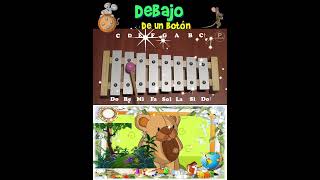 🎶 Canciones en Xilófono  songs on xylophone Tutorial con notas musicales𝄞 [upl. by Dorelle]