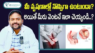 Common Causes of Testicular Pain  Epididymitis Symptoms and Treatment in Telugu  V9 Hospitals [upl. by Artim]