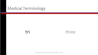 Phlebotomy Lesson 17 Medical Terminology [upl. by Sherer]