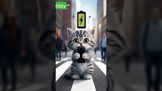 My phone cant die cat cute kitten funny catlover kitty [upl. by Maker]