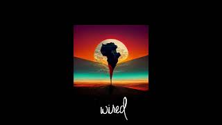 Darksidevinyl  Esperanza Original Mix Wired [upl. by Pich]