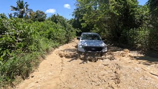 Paseando en el Corredor Ecológico del Este de Puerto Rico [upl. by Anivlis]