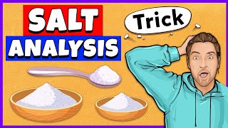 Salt Analysis Class 12 Practical [upl. by Refenej]