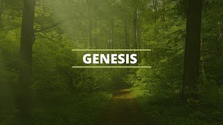 Genesis 44 Part 1 [upl. by Elfont24]