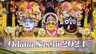 Odana Sasthi 2024  Rajapur Jagannath Temple  Mayapur  MayapurTV [upl. by Amias648]