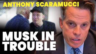 Anthony Scaramucci Trump will unleash hell on Elon Musk ‘in a matter of time’ [upl. by Anadroj378]