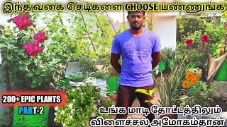 மாடி தோட்டம் TOUR  RKPATTARAI GARDEN TOUR  200 EPIC PLANTS EPIC  TERRACE GARDEN  MAADI THOTTAM [upl. by Niamreg]