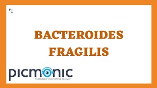 Bacteroides fragilis its Morphology Pathogenesis Lab Dx Treatment ft PicmonicVideoNursing [upl. by Nahsad103]