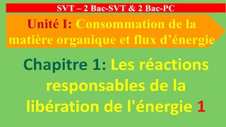 Unité I  Réactions responsables de la libération de lénergie 1  2BACSVT amp 2BACPC [upl. by Tsan173]