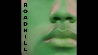 Roadkill  Secret [upl. by Corrie]