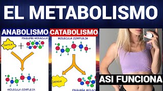 ¿QUÉ ES EL METABOLISMO CATABOLISMO y ANABOLISMO [upl. by Kernan]