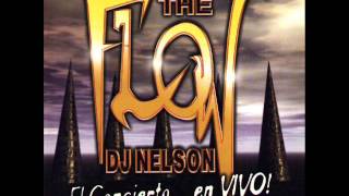 Dj Nelson  The Flow El Concierto en Vivo [upl. by Yrem]