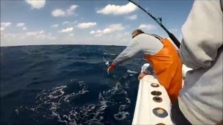 South Carolina offshore fishing [upl. by Jethro245]