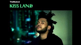 The Weeknd  Professional Kiss Land [upl. by Wilscam462]