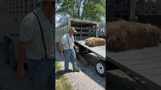 Loading horse and wagon the easy way  viral horsenation drafthorse equine horse [upl. by Yarw]