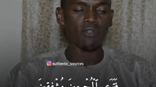 Sheikh Husary imitation from Qari Sheikh Mohamad Hady Toure english sub [upl. by Ruddy]