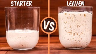 Sourdough Starter and Leaven Explained  Are They The Same Thing [upl. by Ardiek497]