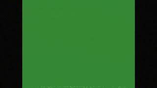 VHS Green Screen Filter Subtle Static 43 Aspect Ratio 4K [upl. by Irtemed]