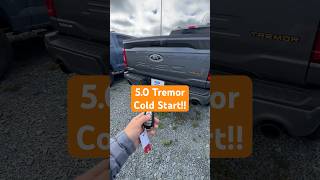 50 V8 F150 Tremor Cold Start shorts ford tremor v8 [upl. by Phail]