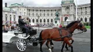 VIENNA A walking tour around the city  VIENA Un paseo por la ciudad [upl. by Antipas121]