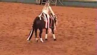 Guinness NRHA Freestyle Reining 2006 [upl. by Anelat]