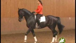 Catherine Haddad Staller on Skeletal Riding and Basics Every Dressage Rider Should Know [upl. by Zigmund]