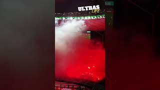 Kaiserslautern Fans Pyro im DFBPokalfinale  FCKaiserslautern  Bayer Leverkusen 25524 [upl. by Gold260]