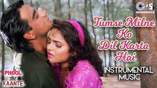 Tumse Milne Ko Dil Karta Hai Instrumental  Phool Aut Kaante  Ajay Devgn Madhu90s HitsHindi Songs [upl. by Miko549]