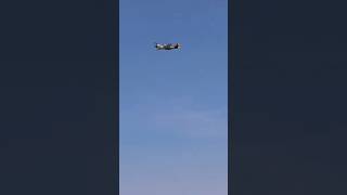 P51 mustang flyby [upl. by Lydnek]