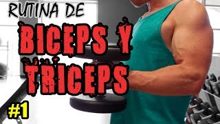 Hipertrofia Antagonista  Entrena Biceps y Triceps con LSF [upl. by Anastice554]