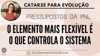 PNL  O elemento mais flexível controla o sistema [upl. by Aspia]