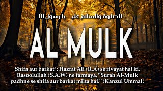 Surah Al Mulk سورة الملك Surah Mulk Relaxing Soul Soothing Quran Recitation  By Muhammad Ali [upl. by Rosita]