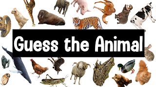 Guess the Animal Sound Game  30 Animal Sounds Quiz  Wildlife Trivia [upl. by Kain]