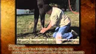 When amp How to Use IceOGel for Horse Leg Bowed Tendons Edema amp Ligament Damage [upl. by Noxaj]