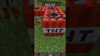 Explotando una TNT por DIA  DIA 22 minecraft viralvideos shorts gaming minecraftmemes [upl. by Oiznun127]