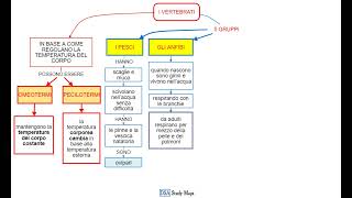 videomappa  scienze  11 1 gli animali i vertebrati 5 gruppi [upl. by Kerman]