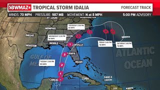 WATCH Tracking Tropical Storm Idalia Latest forecast Live QampA with Meteorologist Alex Forbes [upl. by Ocsirf]