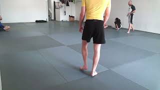 nogi bjj with dave [upl. by Shanney541]