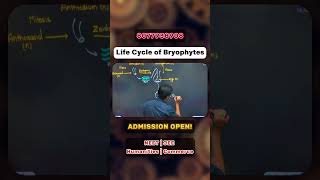 Dont Miss Out on the Amazing Bryophytes Life Cycle Class 11 Lesson [upl. by Niliac96]