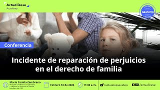 Incidente de reparación de perjuicios en el derecho de familia [upl. by Berlin]