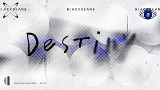 BLACKBEANS  Destiny Official Lyric Video [upl. by Alonzo]